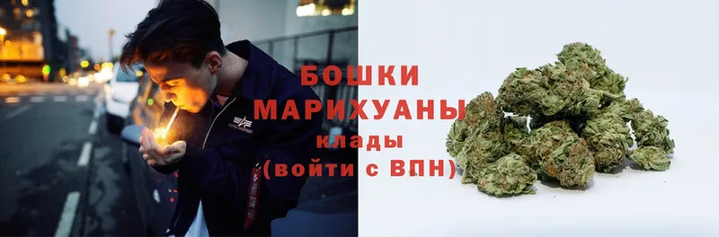 Конопля SATIVA & INDICA  Вязники 